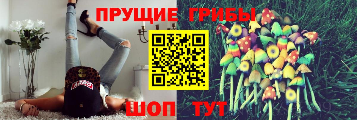 Галлюциногенные грибы Psilocybe Ленинск-Кузнецкий